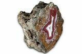 Polished, Vibrant, Banded Agate - Kerrouchen, Morocco #326534-2